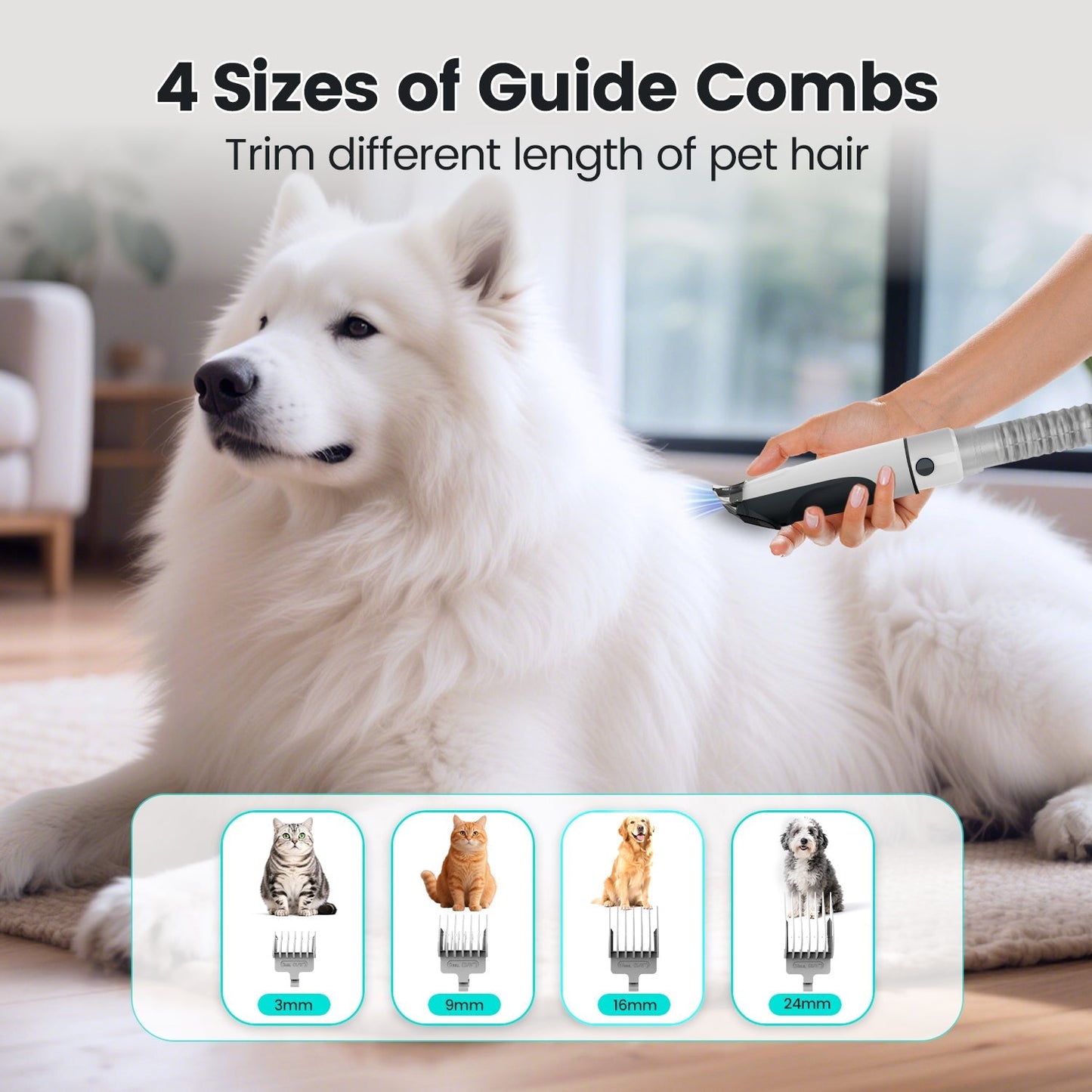 PG80+ | All-in-one Pet Grooming Dryer