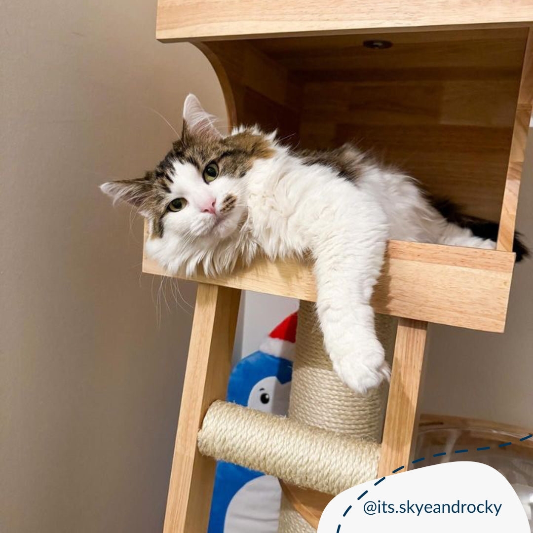 Levels Play Centre Cat Tree