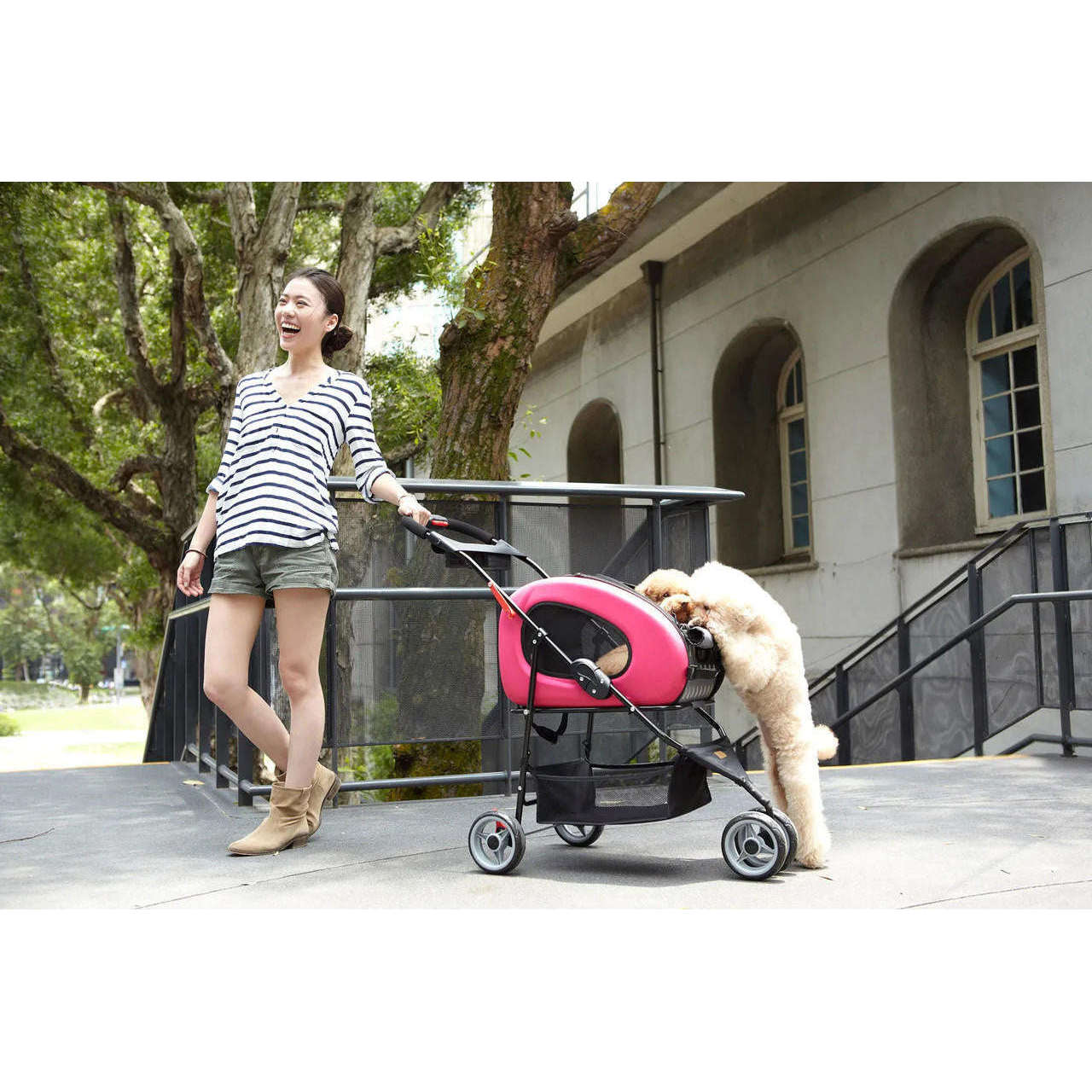 5-in-1 Combo EVA Pet Carrier/Stroller | Luxury Package