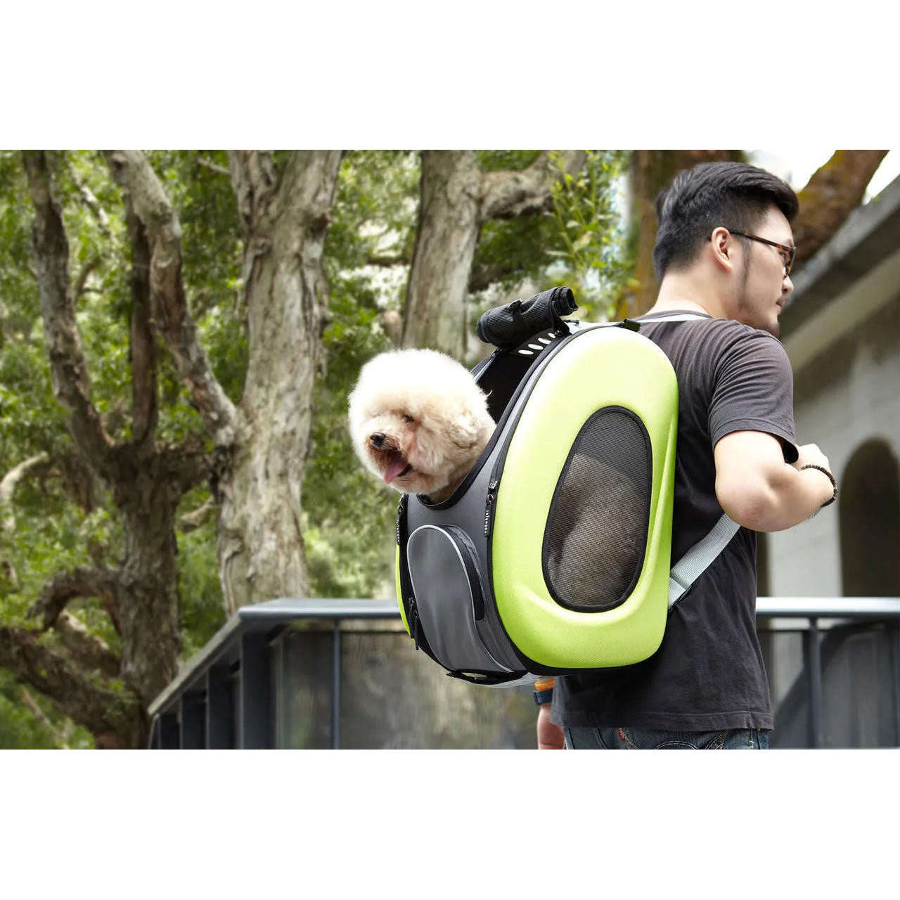 5-in-1 Combo EVA Pet Carrier/Stroller | Luxury Package