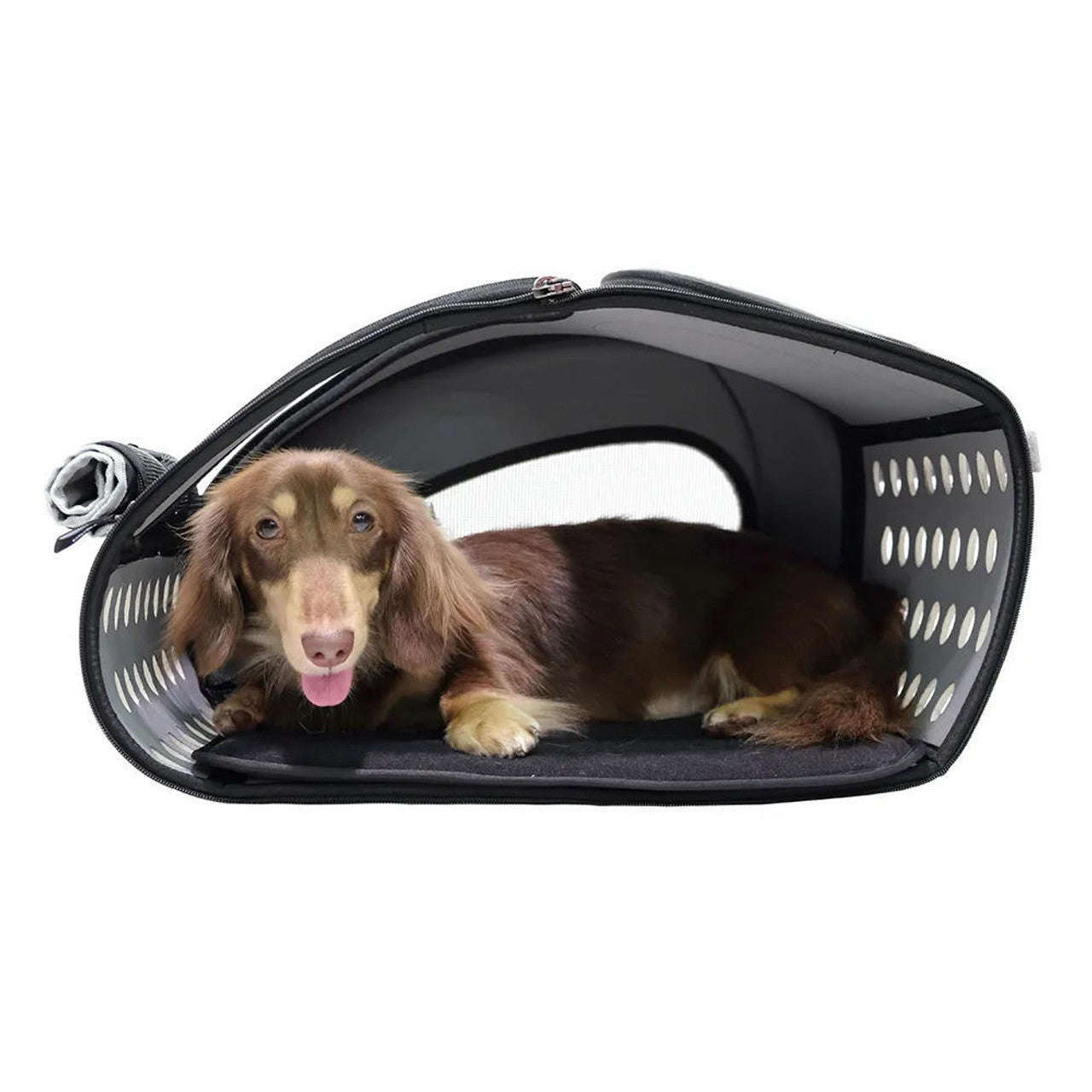 5-in-1 Combo EVA Pet Carrier/Stroller | Luxury Package