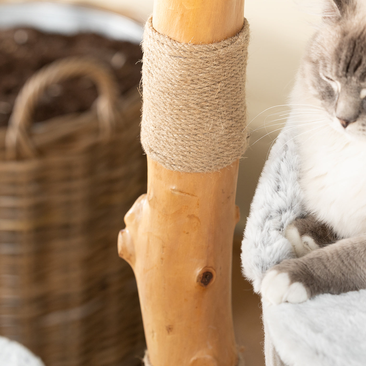 Back to Nature The Luxe Cat Scratch Tree