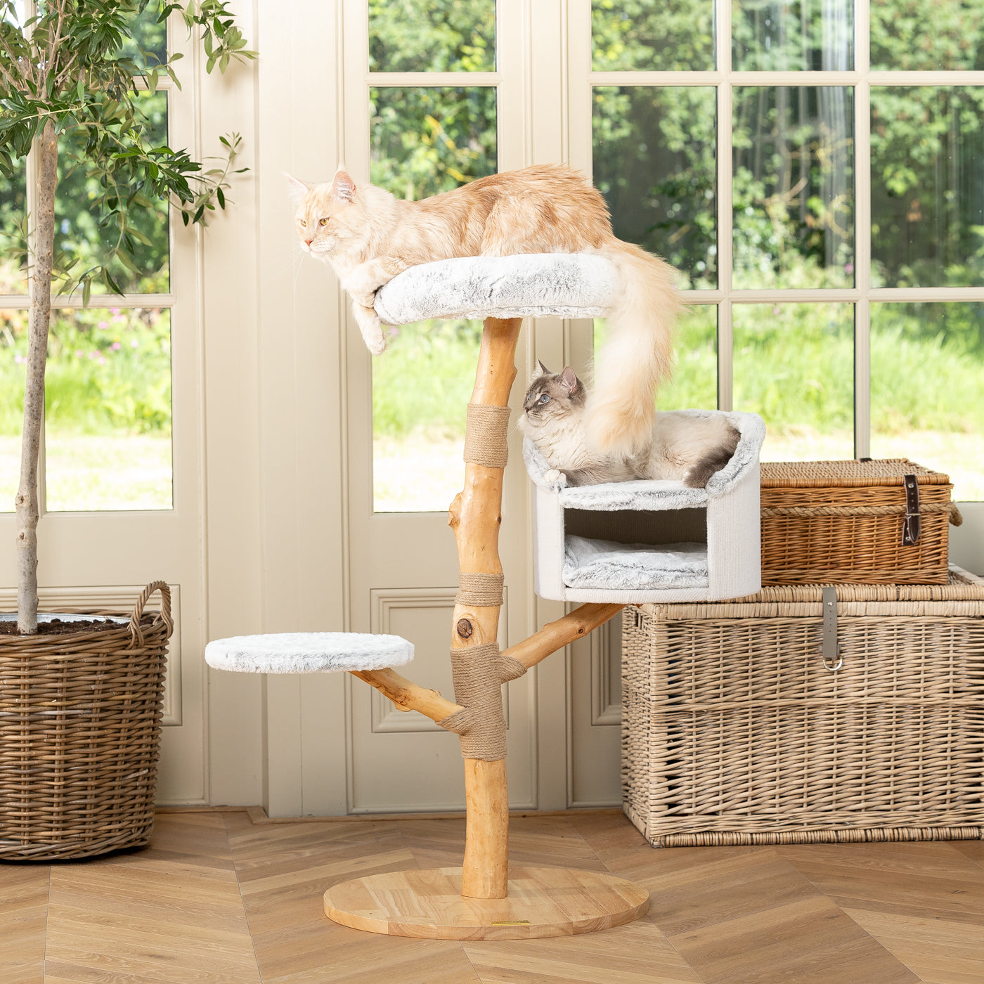 Back to Nature The Luxe Cat Scratch Tree