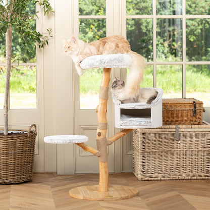 Back to Nature The Luxe Cat Scratch Tree