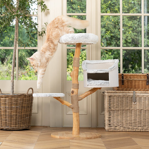 Back to Nature The Luxe Cat Scratch Tree