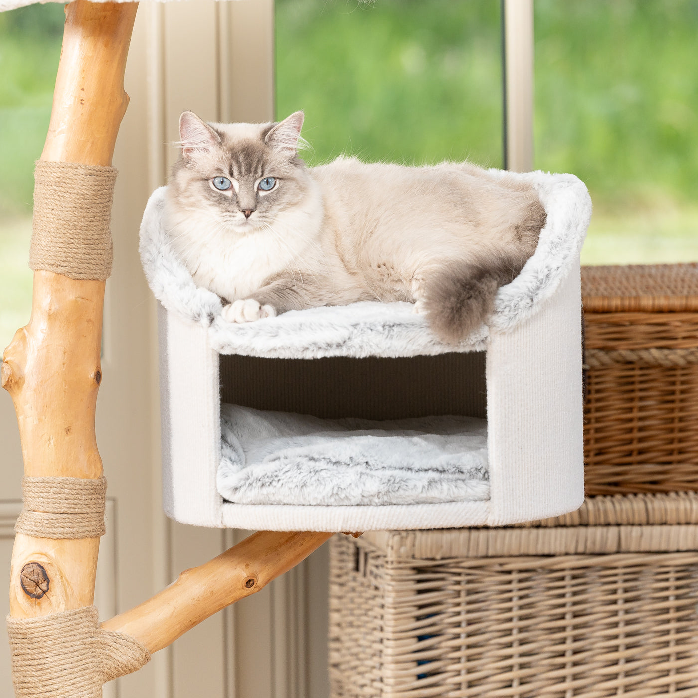 Back to Nature The Luxe Cat Scratch Tree