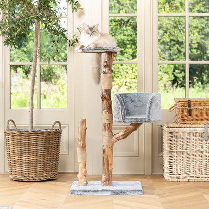 Back to Nature The Trio Cat Scratch Tree