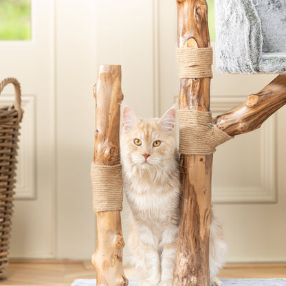 Back to Nature The Trio Cat Scratch Tree