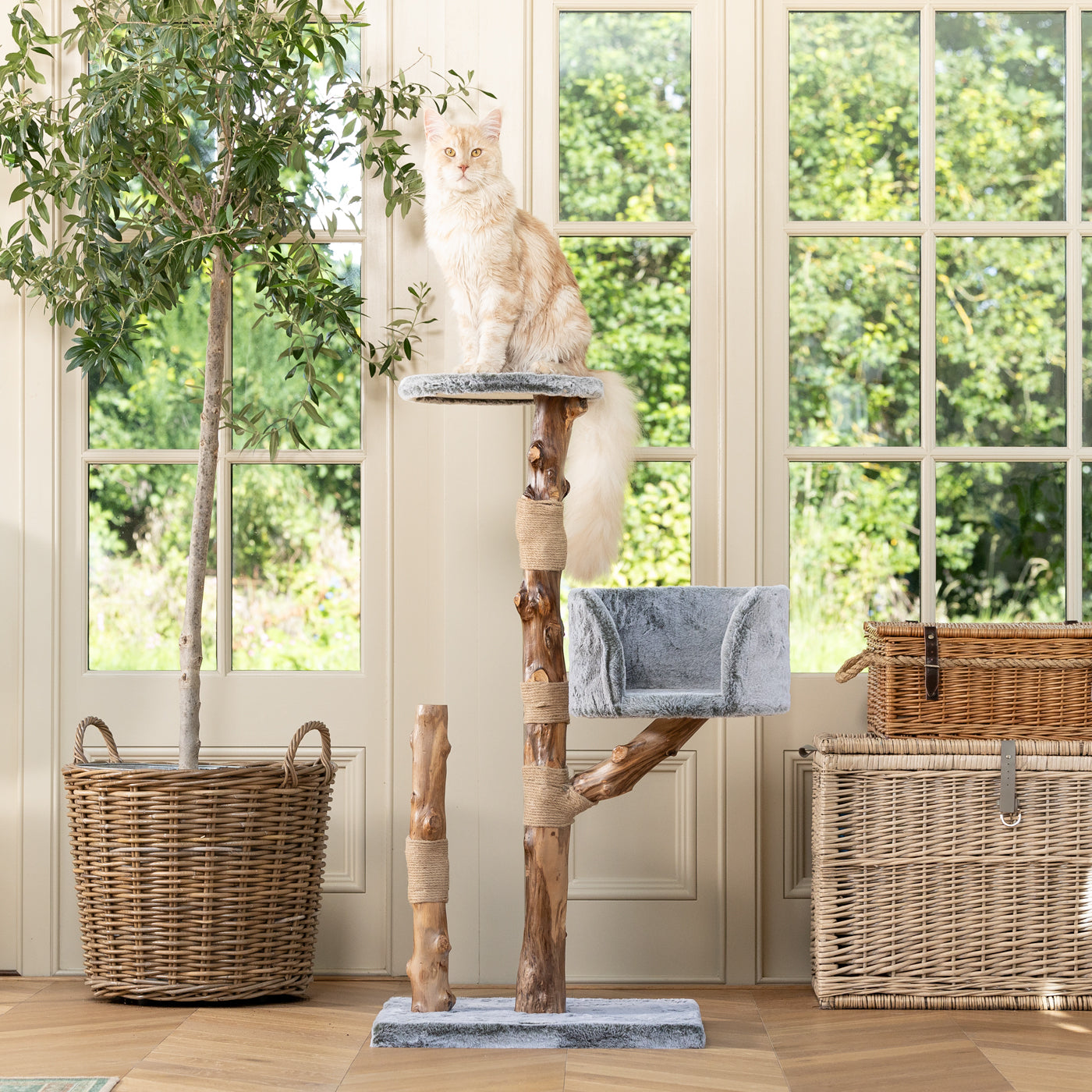 Back to Nature The Trio Cat Scratch Tree