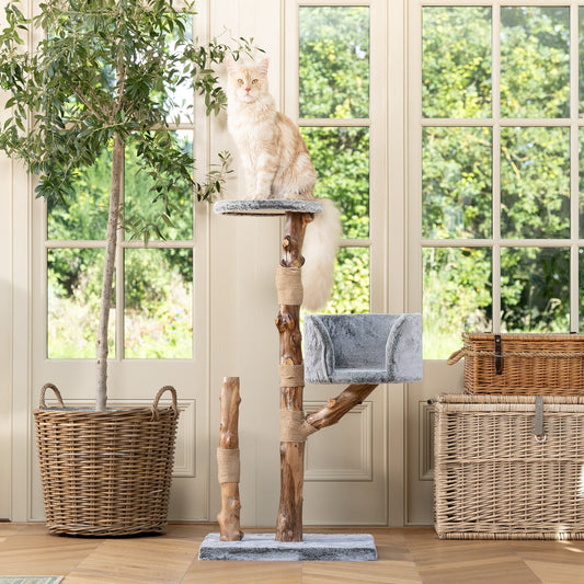 Back to Nature The Trio Cat Scratch Tree